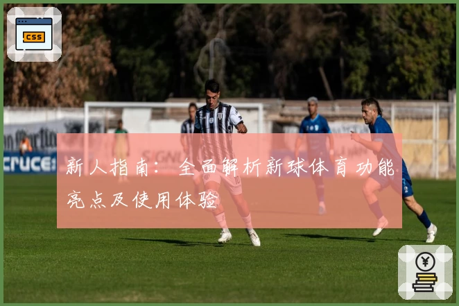 新人指南：全面解析新球体育功能亮点及使用体验