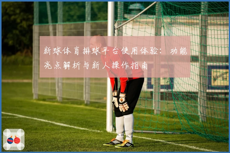 新球体育排球平台使用体验：功能亮点解析与新人操作指南