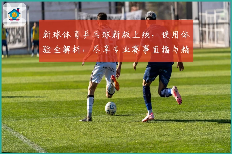 新球体育乒乓球新版上线,使用体验全解析,尽享专业赛事直播与精彩互动