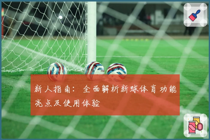 新人指南：全面解析新球体育功能亮点及使用体验