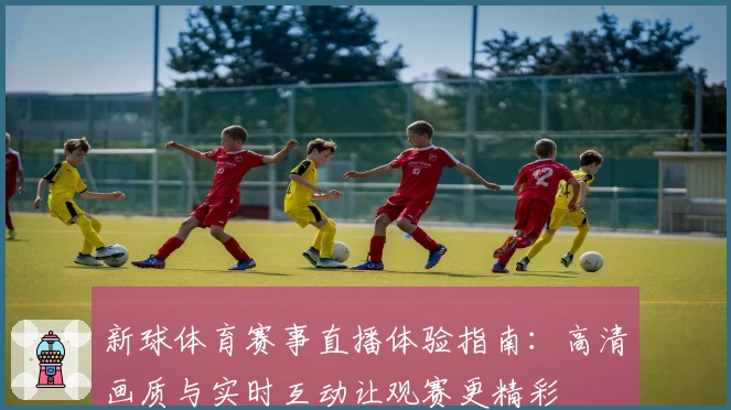 新球体育赛事直播体验指南：高清画质与实时互动让观赛更精彩